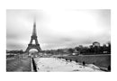 Carta da Parati Fotomurale - Parigi - Torre Eiffel 450x270 cm Erroi-2
