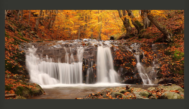 Fotomurale - Autumn Landscape: Waterfall in Forest 550X270 cm Carta da Parato Erroi-2