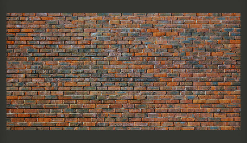 Fotomurale - Muro di Mattoncini 550X270 cm Carta da Parato Erroi-2