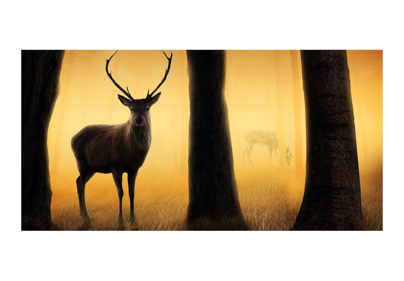 Carta da Parati Fotomurale XXL - Deer in His Natural Habitat 550x270 cm Erroi-2