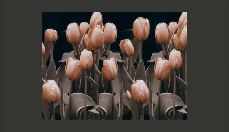 Fotomurale - Ladies Among The Flowers 350X270 cm Carta da Parato Erroi-2