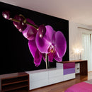 Fotomurale - Elegante Orchidea 350X270 cm Carta da Parato Erroi-1