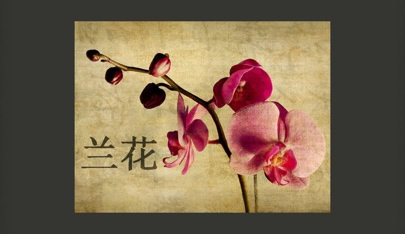 Fotomurale - Japanese Orchid 350X270 cm Carta da Parato Erroi-2