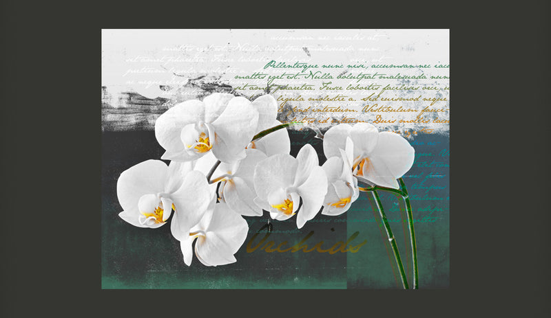 Fotomurale - Orchidea: Ispirazione Del Poeta 350X270 cm Carta da Parato Erroi-2