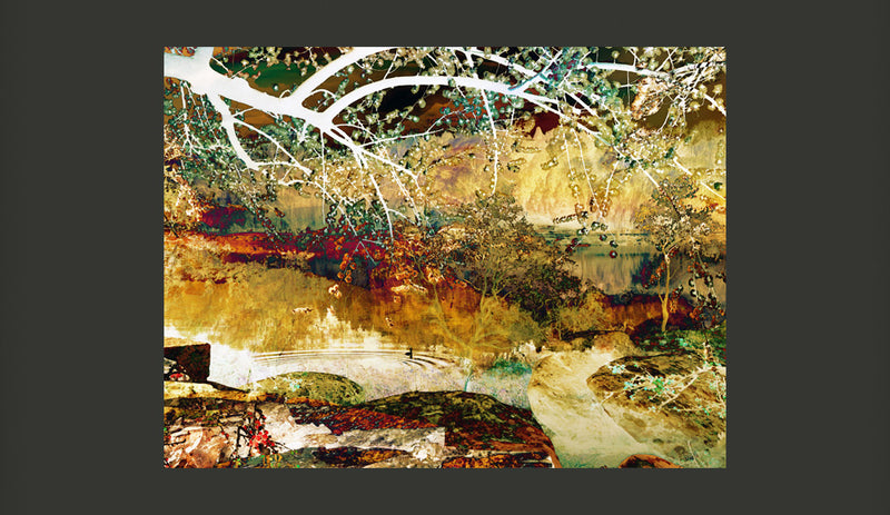 Fotomurale - River Of Life 350X270 cm Carta da Parato Erroi-2