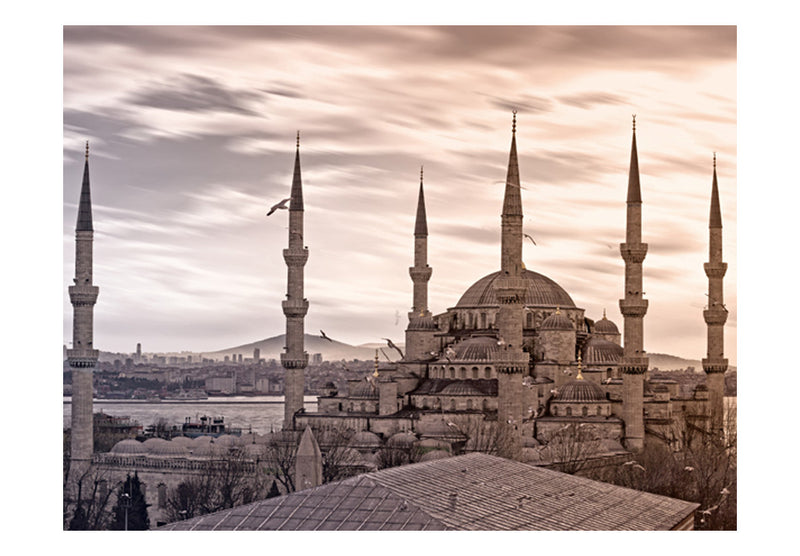 Carta da Parati Fotomurale - Moschea Blu, Istanbul 350x270 cm Erroi-2