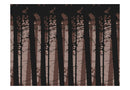 Carta da Parati Fotomurale - Abstract Dark Forest 350x270 cm Erroi-2