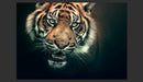 Fotomurale - Tigre Del Bengala 350X270 cm Carta da Parato Erroi-2