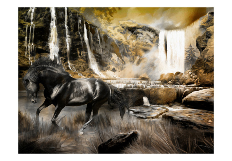 Carta da Parati Fotomurale - Cavallo Nero e Cascata 350x270 cm Erroi-2