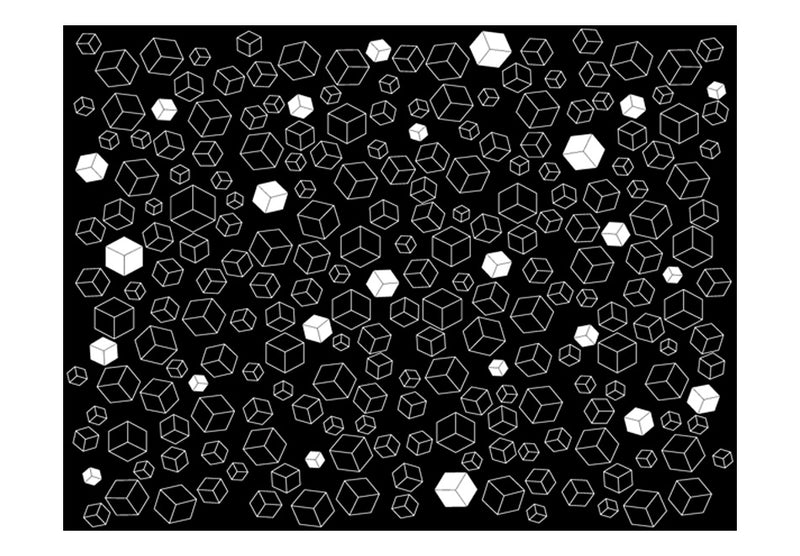 Carta da Parati Fotomurale - Black-And-White Solids 350x270 cm Erroi-2