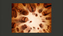Fotomurale - Flying Coffee Beans 350X270 cm Carta da Parato Erroi-2