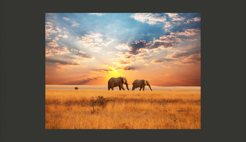 Fotomurale - Elefanti Nella Savana Africana 200X154 cm Carta da Parato Erroi-2