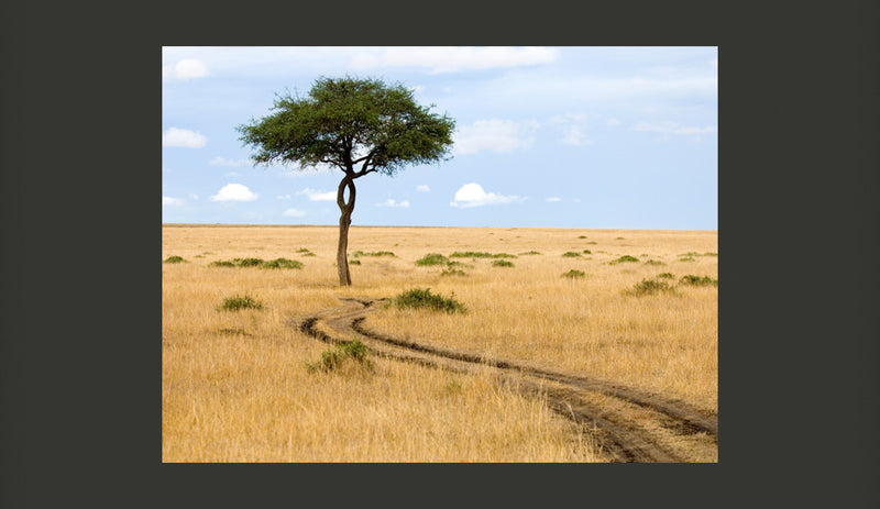 Fotomurale - Savana - Masai Mara 200X154 cm Carta da Parato Erroi-2