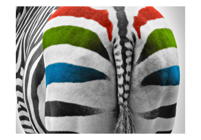 Carta da Parati Fotomurale - Zebra con Strisce Colorate 200x154 cm Erroi-2