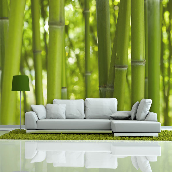 Fotomurale - Bambù - Verde Carta Da Parato Erroi online