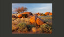 Fotomurale - Paesaggio Africano, Namibia 200X154 cm Carta da Parato Erroi-2