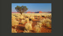 Fotomurale - Paesaggio Deserto, Namibia 200X154 cm Carta da Parato Erroi-2