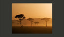 Fotomurale - Massai Mara 200X154 cm Carta da Parato Erroi-2