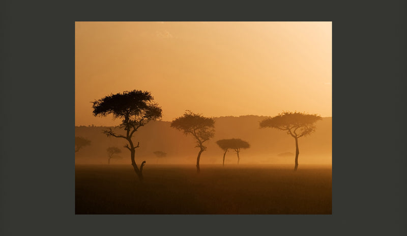 Fotomurale - Massai Mara 200X154 cm Carta da Parato Erroi-2