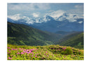 Carta da Parati Fotomurale - Paesaggio di Montagna in Primavera 200x154 cm Erroi-2