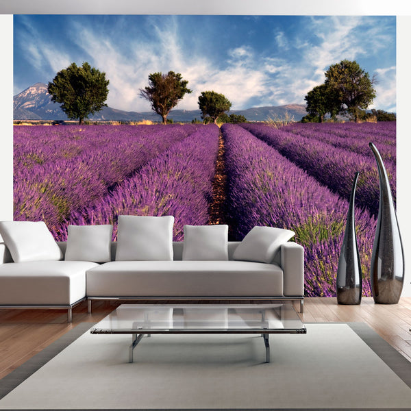 Fotomurale - Lavender Field In Provence, France Carta Da Parato Erroi sconto