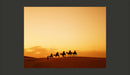 Fotomurale - Caravana Nel Deserto Del Sahara 200X154 cm Carta da Parato Erroi-2