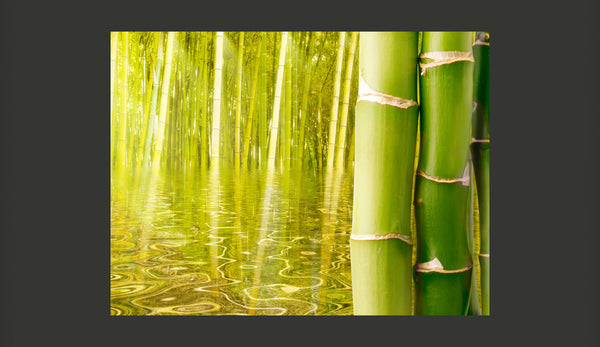 online Fotomurale - Ambiente Esotico Con Bambù Carta Da Parato Erroi