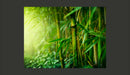 Fotomurale - Giungla - Bambù 200X154 cm Carta da Parato Erroi-2