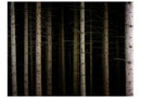 Carta da Parati Fotomurale - Deep Dark Forest 200x154 cm Erroi-2