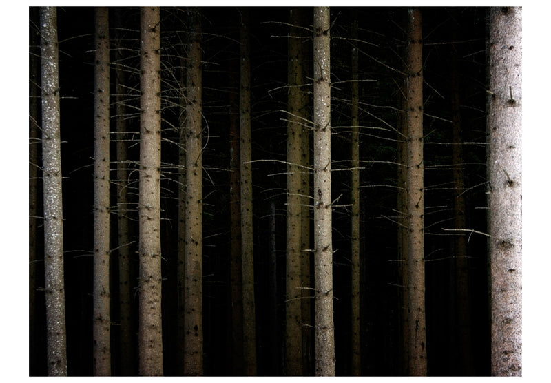 Carta da Parati Fotomurale - Deep Dark Forest 200x154 cm Erroi-2