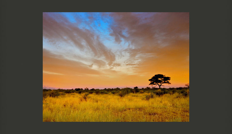 Fotomurale - South African Sunset 200X154 cm Carta da Parato Erroi-2