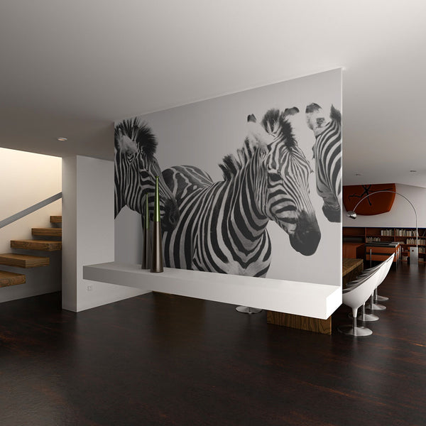 acquista Carta Da Parati Fotomurale - Three Zebras 200x154cm Erroi