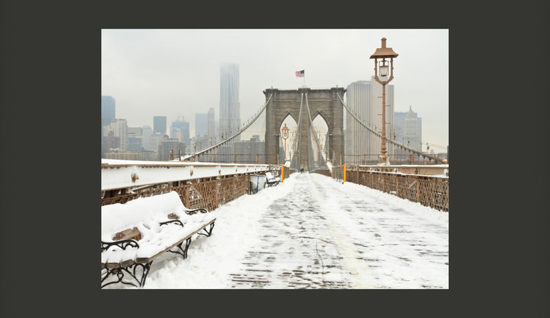 Fotomurale - Ponte Newyorkese Coperto Dalla Neve 200X154 cm Carta da Parato Erroi-2
