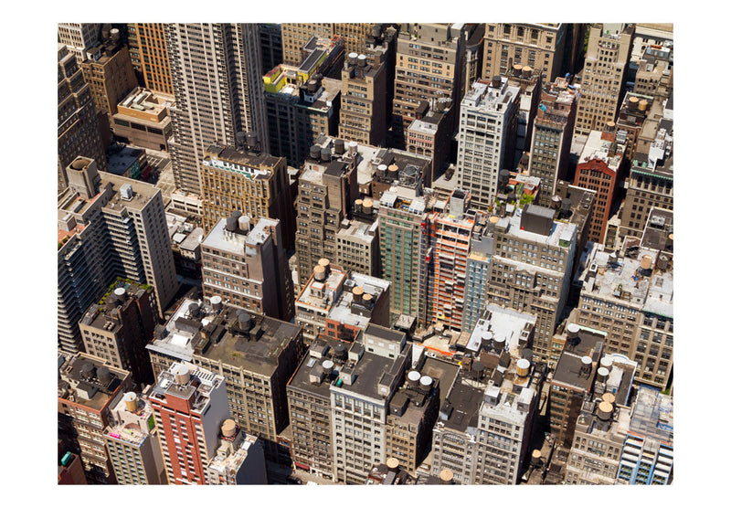Carta da Parati Fotomurale - New York Rooftops 200x154 cm Erroi-2