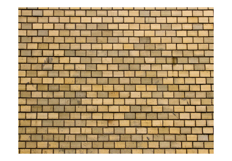 Carta da Parati Fotomurale - Brick Wall in Beige Color 200x154 cm Erroi-2