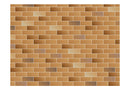 Carta da Parati Fotomurale - Bright Brick Wall 200x154 cm Erroi-2