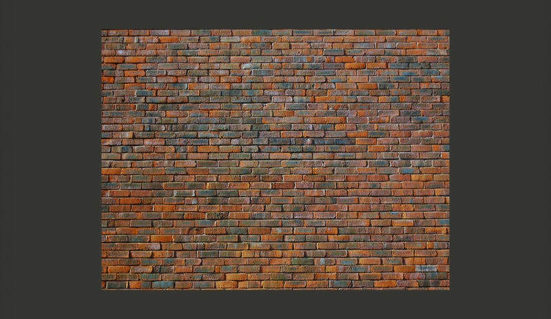 Fotomurale - Muro di Mattoncini 200X154 cm Carta da Parato Erroi-2