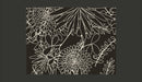 Fotomurale - Motivo Floreale in Bianco e Nero 200X154 cm Carta da Parato Erroi-2