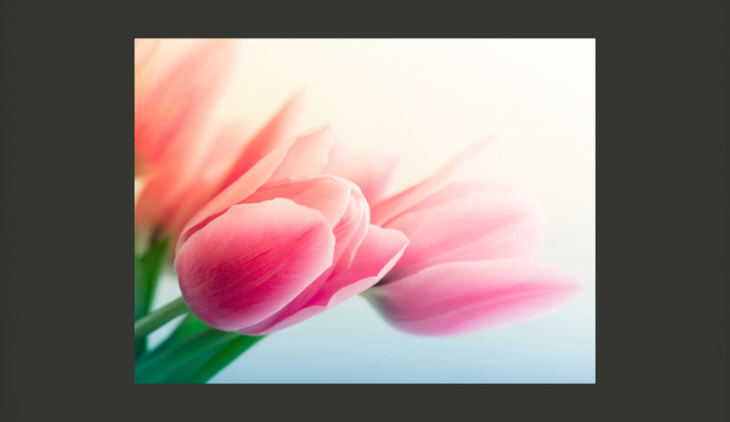 Fotomurale - Primavera e Tulipani 200X154 cm Carta da Parato Erroi-2