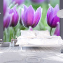 Fotomurale - Primaverili Tulipani Viola 200X154 cm Carta da Parato Erroi-1
