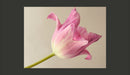 Fotomurale - Pink Tulip 200X154 cm Carta da Parato Erroi-2