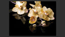Fotomurale - Orchids in Ecru Color 200X154 cm Carta da Parato Erroi-2