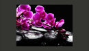 Fotomurale - Momento di Relax : Un'Orchidea e Pietre Zen 200X154 cm Carta da Parato Erroi-2