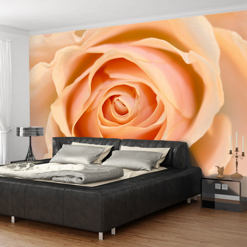 Fotomurale - Peach-Colored Rose 200X154 cm Carta da Parato Erroi-1