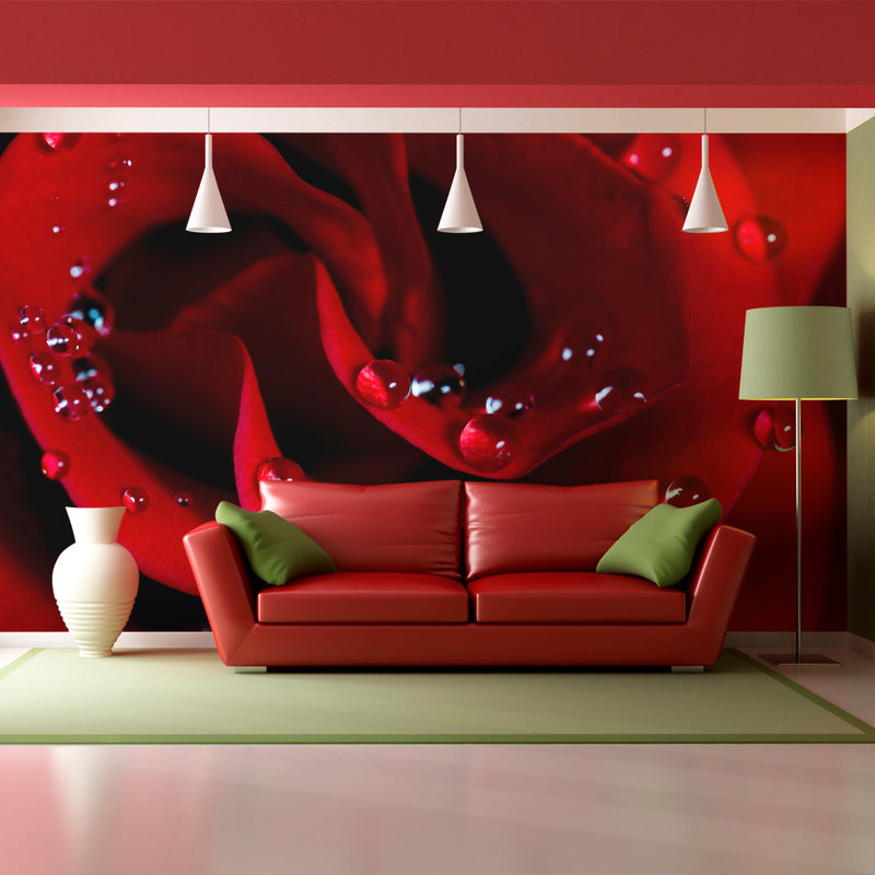 Fotomurale - Rosa Rossa e Gocce di Rugiada 200X154 cm Carta da Parato Erroi-1