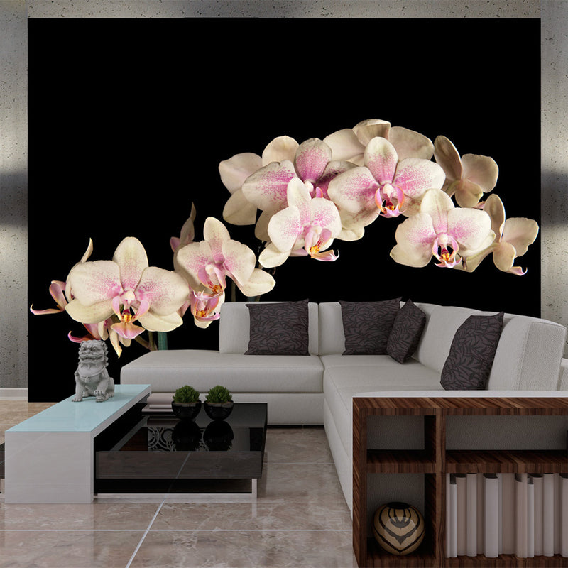 Fotomurale - Orchidea in Fiore 200X154 cm Carta da Parato Erroi-1