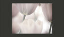 Fotomurale - Tulips Fine Art - Black And White 200X154 cm Carta da Parato Erroi-2