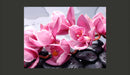 Fotomurale - Fiori di Orchidea e Pietre Zen 200X154 cm Carta da Parato Erroi-2