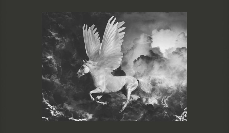 Fotomurale - Pegasus Sulla Strada per L'Olimpo 200X154 cm Carta da Parato Erroi-2
