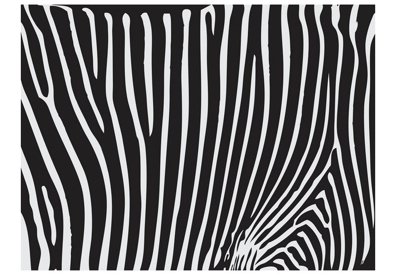 Carta da Parati Fotomurale - Zebra Pattern - Bianco e Nero 200x154 cm Erroi-2
